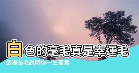 手臂長一根長毛|【手臂長一根長毛】手臂冒出一根長毛！是長壽好兆頭還是癌變前。